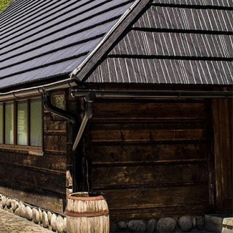 Janisik
